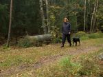Lexi ska nu promenera förbi det som skamlade i plåtröret till vänster i bild.